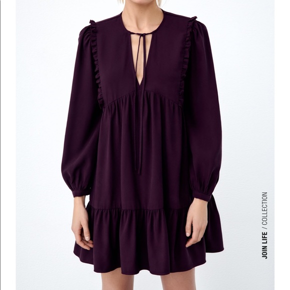 Zara Pleated Dress - Picture 3 of 10